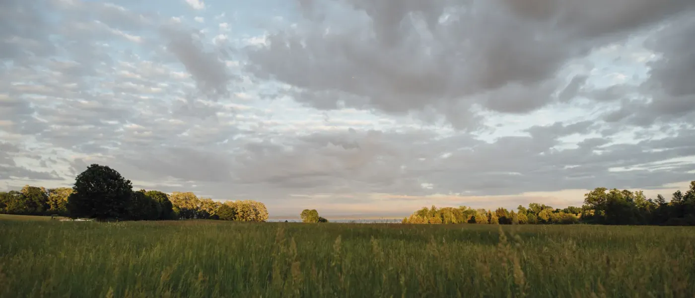 Vermont grasslands at sunrise