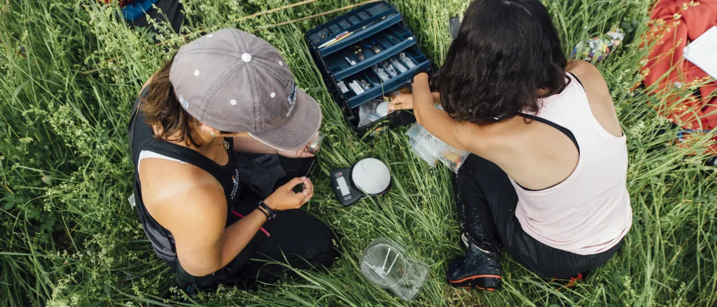 Aerial shot of researchers studying bobolinks in Vermont