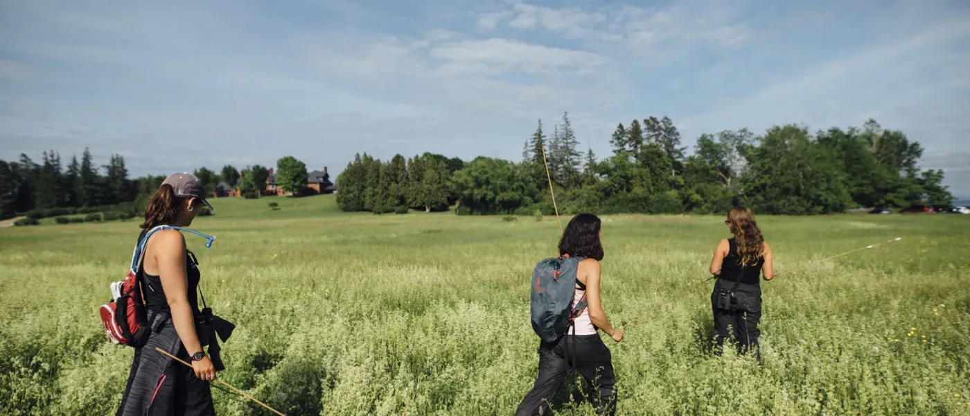 Student researchers walk through the grassy field in Vermont